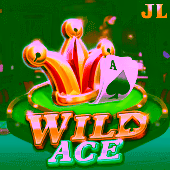 JL7 Wild Ace app image